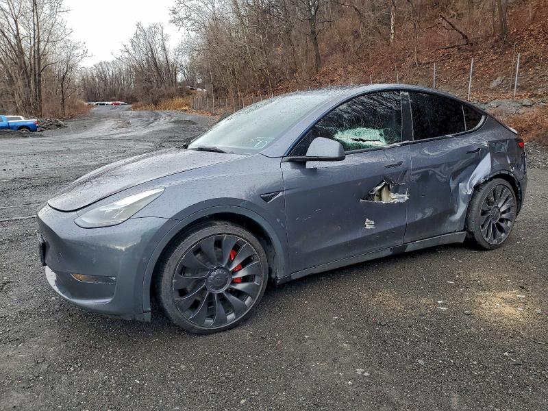 Продажа на аукционе авто 2023 Tesla Model Y, vin: 7SAYGDEF4PF582458, номер лота: 97412625