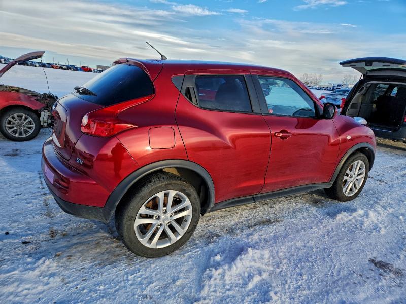 96818005 :رقم المزاد ، JN8AF5MR1BT013533 vin ، 2011 Nissan Juke S مزاد بيع