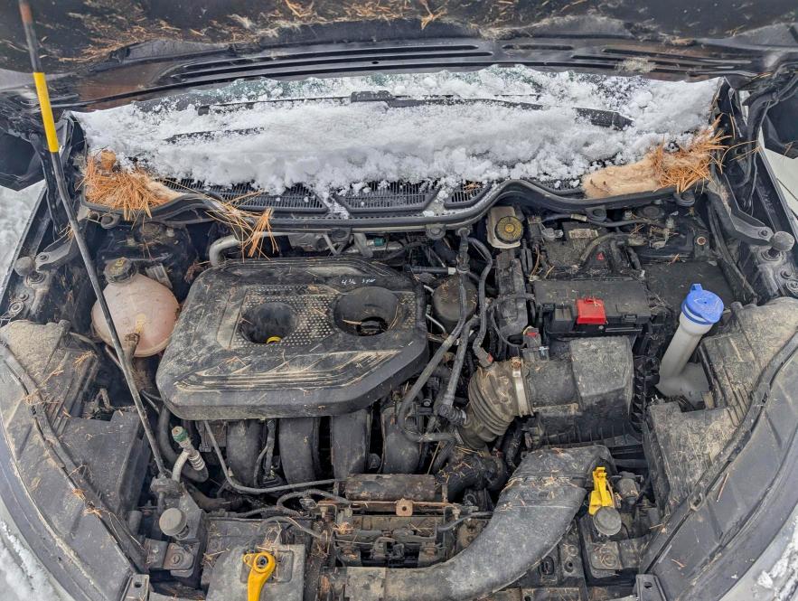 2019 Ford Ecosport მანქანა იყიდება აუქციონზე, vin: MAJ6S3JL7KC252107, აუქციონის ნომერი: 92888385