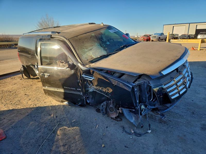 Продажа на аукционе авто 2010 Cadillac Escalade, vin: 1GYUCJEF3AR249265, номер лота: 96941775
