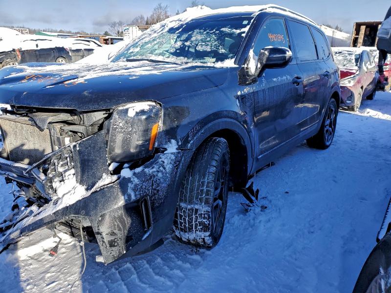 Aukcja sprzedaży 2024 Kia Telluride, vin: 5XYP5DGC2RG455804, numer aukcji: 95407845