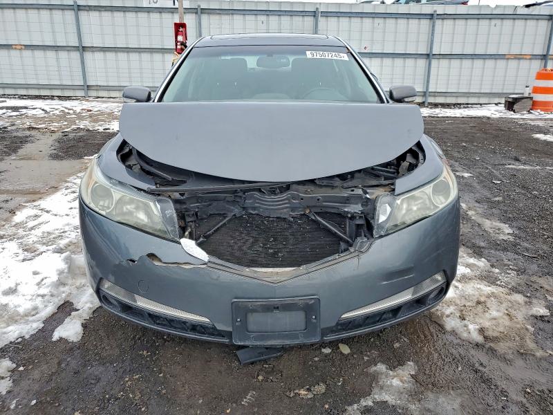 Продажа на аукционе авто 2010 Acura Tl, vin: 19UUA8F2XAA024549, номер лота: 97507245
