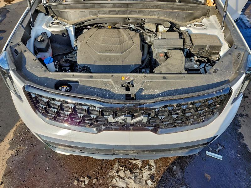 Aukcja sprzedaży 2024 Kia Telluride, vin: 5XYP3DGC9RG500825, numer aukcji: 96805935