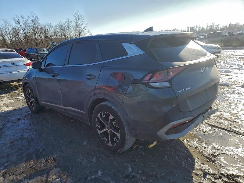 Продаж на аукціоні авто 2024 Kia Sportage, vin: 5XYK33DF5RG144697, номер лоту: 95468315