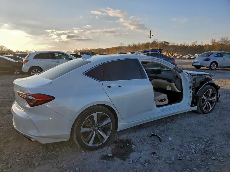 Продаж на аукціоні авто 2025 Acura Tlx Techno, vin: 19UUB5F43SA002360, номер лоту: 95720495