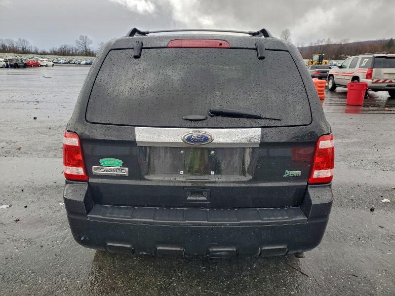 Продаж на аукціоні авто 2011 Ford Escape, vin: 1FMCU0EG9BKC66935, номер лоту: 52339796