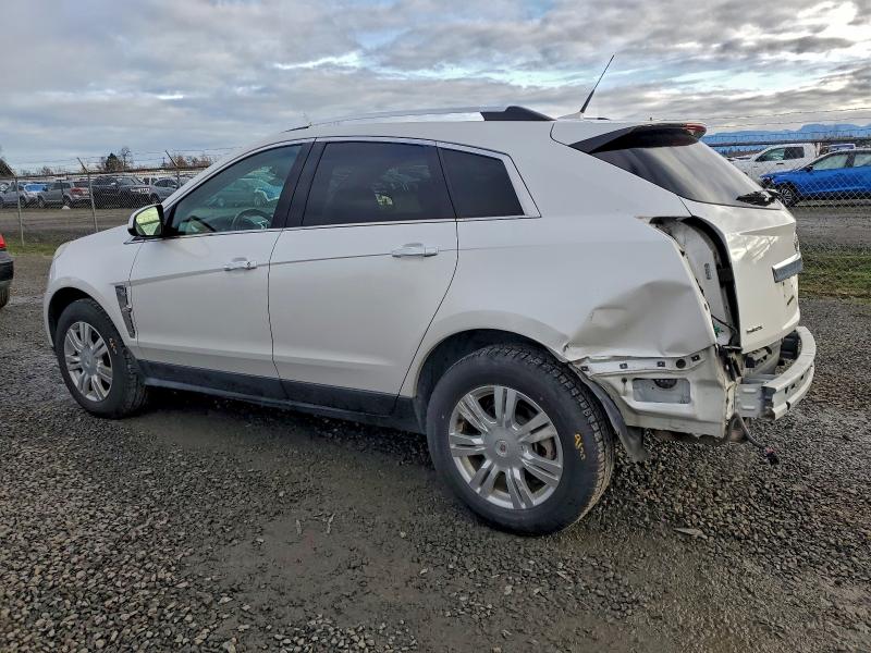 Продажа на аукционе авто 2010 Cadillac Srx Luxury, vin: 3GYFNAEYXAS612386, номер лота: 95801735