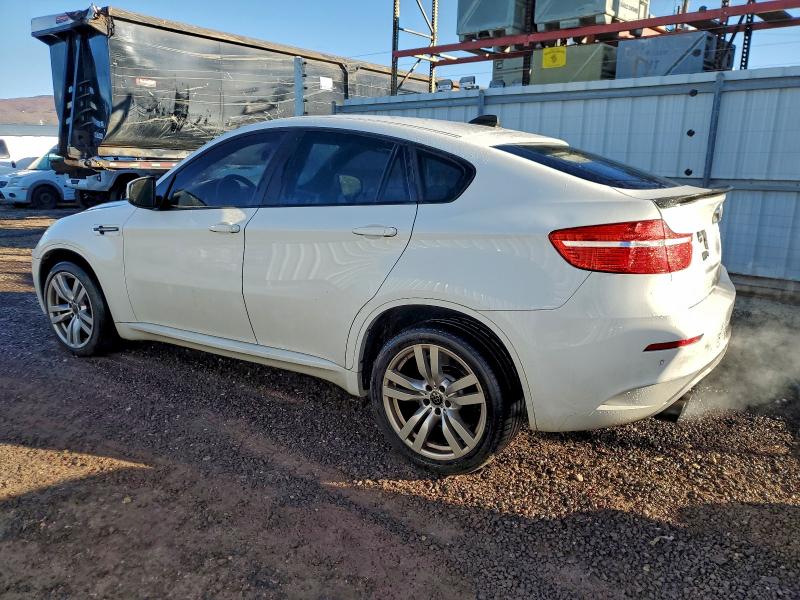 Продажа на аукционе авто 2012 Bmw X6 M, vin: 5YMGZ0C53CLL29619, номер лота: 97028495