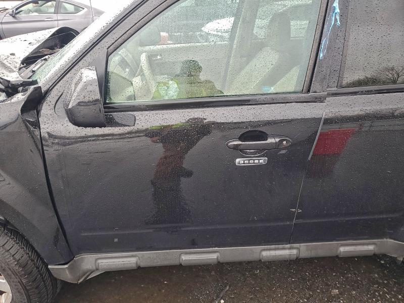 Продаж на аукціоні авто 2011 Ford Escape, vin: 1FMCU0EG9BKC66935, номер лоту: 52339796