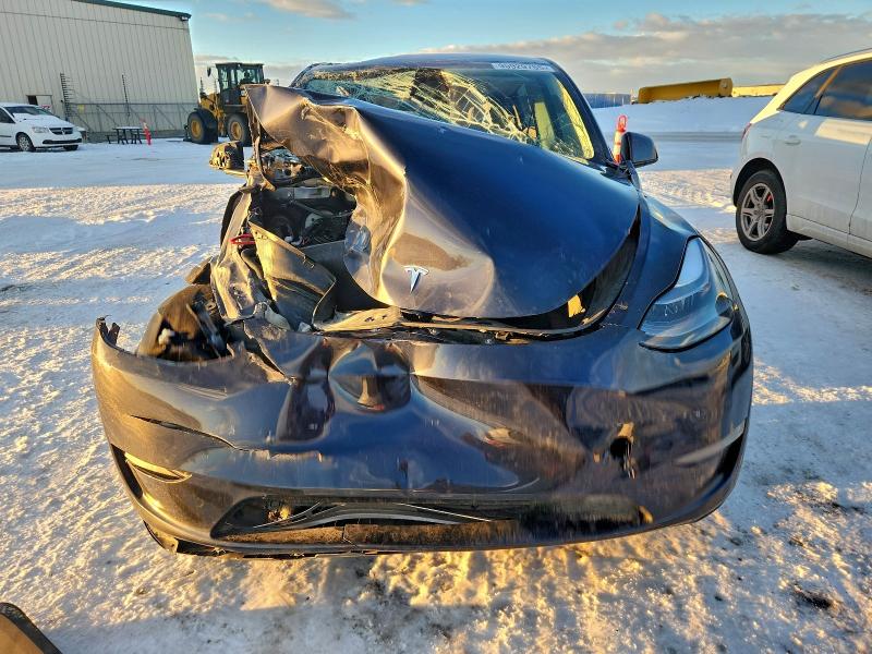 Продажа на аукционе авто 2024 Tesla Model Y, vin: 7SAYGDEF8RF041383, номер лота: 95929755