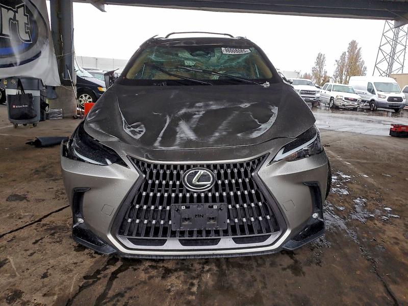 Продажа на аукционе авто 2024 Lexus Nx 250 Bas, vin: 2T2ADCAZ7RC008375, номер лота: 98008085
