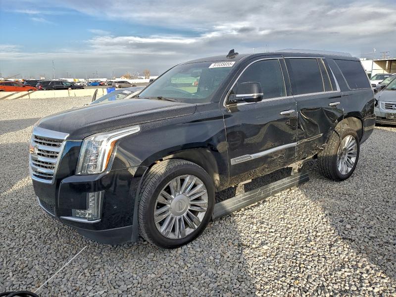 97035655 :رقم المزاد ، 1GYS4DKJ7HR152532 vin ، 2017 Cadillac Escalade P مزاد بيع