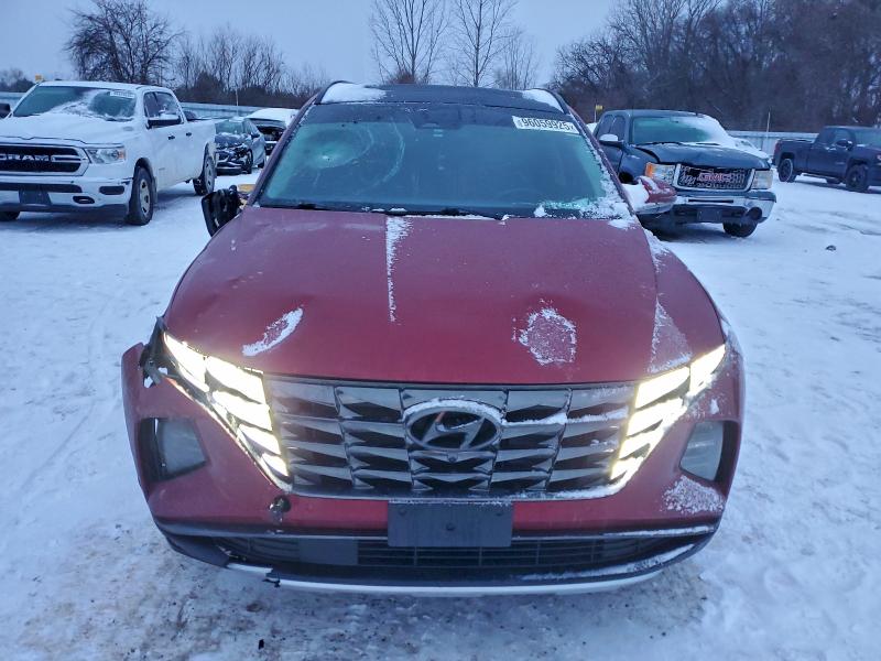 2023 Hyundai Tucson მანქანა იყიდება აუქციონზე, vin: KM8JCCA15PU089549, აუქციონის ნომერი: 96059925