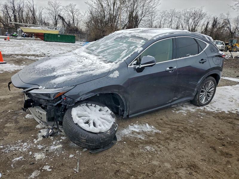 2024 Lexus Nx მანქანა იყიდება აუქციონზე, vin: 2T2HGCEZ6RC047359, აუქციონის ნომერი: 96939225
