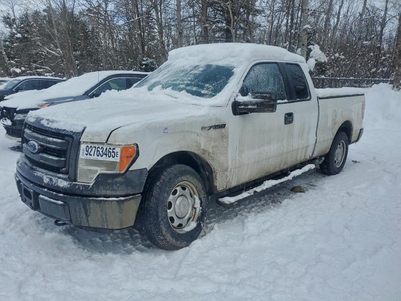 Auction sale of the 2013 Ford F150, vin: 1FTEX1CM8DFC89203, lot number: 92763465