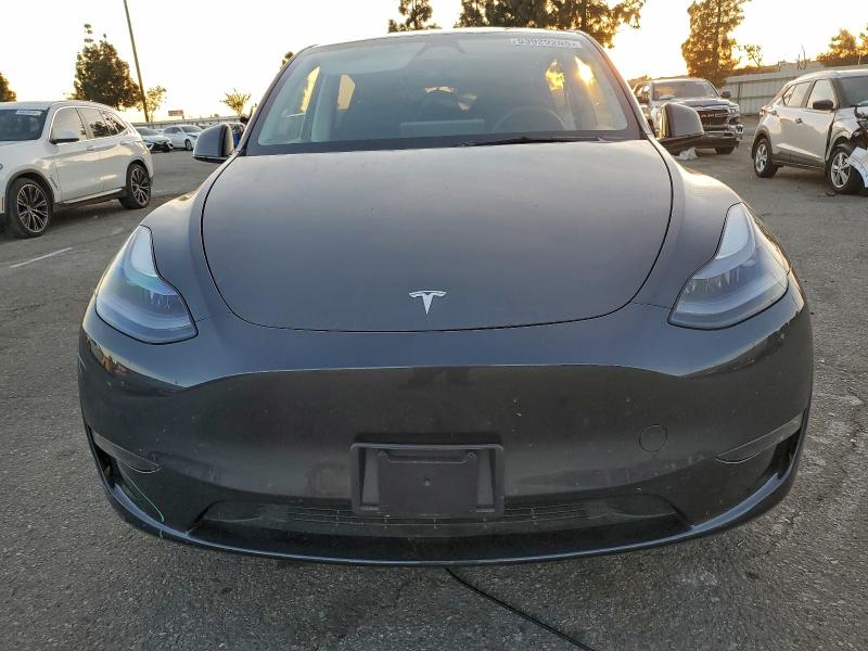 Продажа на аукционе авто 2025 Tesla Model Y, vin: 7SAYGDED3SF218281, номер лота: 93929205