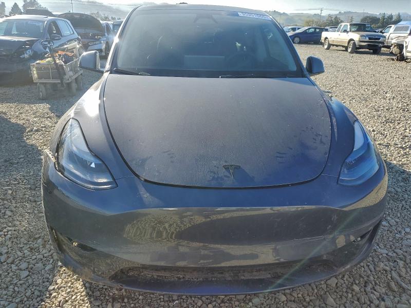 Aukcja sprzedaży 2023 Tesla Model Y, vin: 7SAYGDEE6PF889069, numer aukcji: 95951065