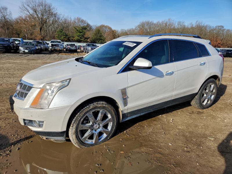 Продажа на аукционе авто 2011 Cadillac Srx Perfor, vin: 3GYFNBEY3BS615590, номер лота: 96365735