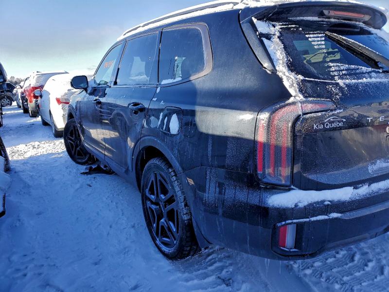 Aukcja sprzedaży 2024 Kia Telluride, vin: 5XYP5DGC2RG455804, numer aukcji: 95407845