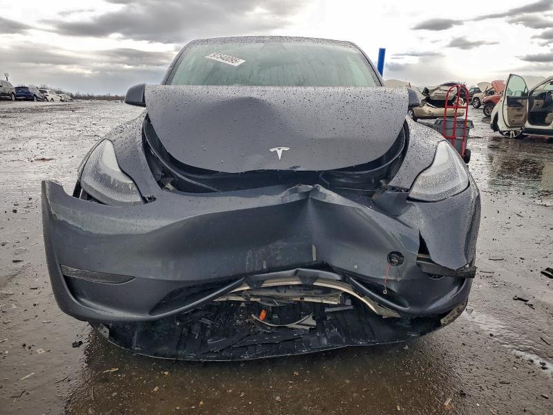 Продажа на аукционе авто 2022 Tesla Model Y, vin: 7SAYGDEF2NF339969, номер лота: 97540095
