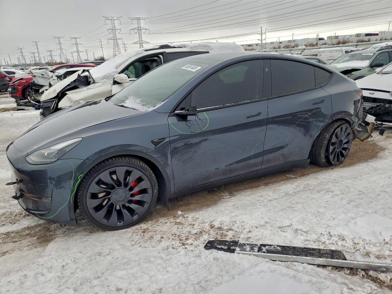 Продаж на аукціоні авто 2023 Tesla Model Y, vin: 7SAYGDEF0PF936864, номер лоту: 53192916