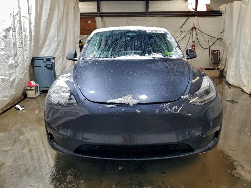 Продаж на аукціоні авто 2024 Tesla Model Y, vin: 7SAYGDEE0RA232901, номер лоту: 95759635