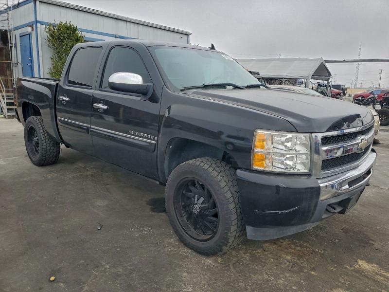 2009 Chevrolet Silverado მანქანა იყიდება აუქციონზე, vin: 3GCEC23J49G210090, აუქციონის ნომერი: 61516506