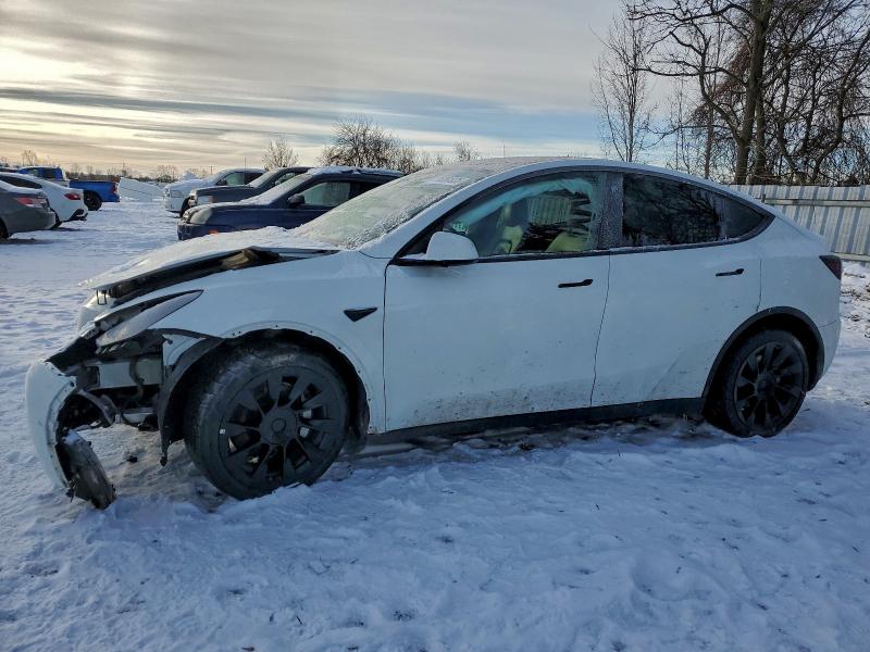 Продаж на аукціоні авто 2022 Tesla Model Y, vin: 7SAYGDEE5NF517106, номер лоту: 95261035