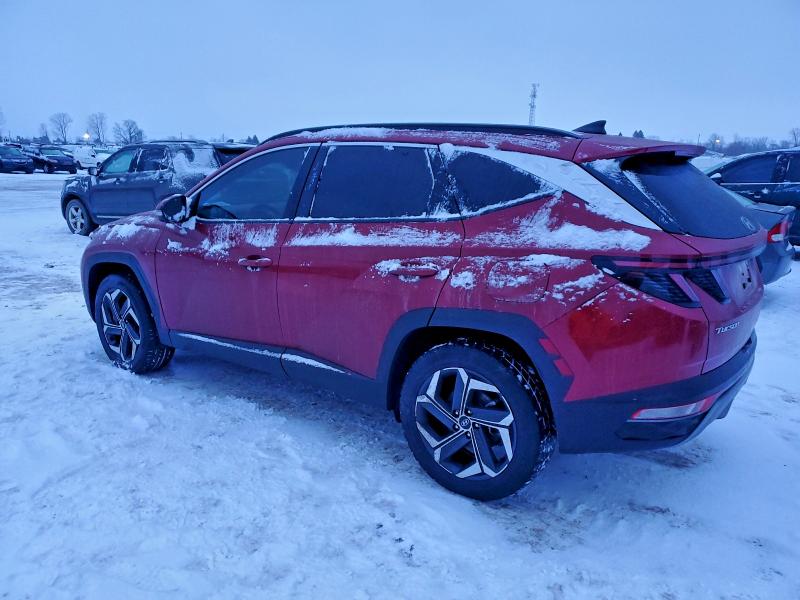 2023 Hyundai Tucson მანქანა იყიდება აუქციონზე, vin: KM8JCCA15PU089549, აუქციონის ნომერი: 96059925