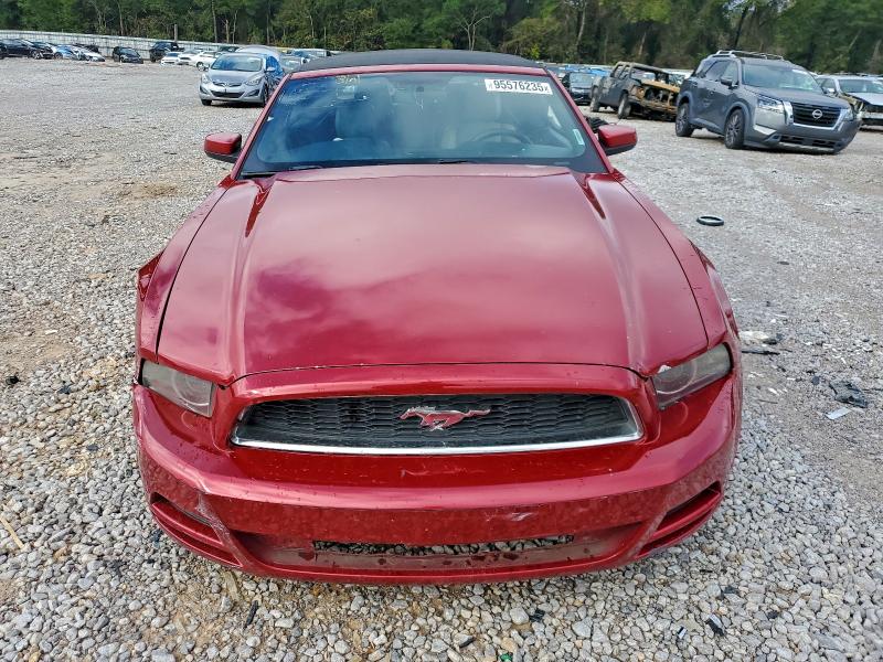 2013 Ford Mustang მანქანა იყიდება აუქციონზე, vin: 1ZVBP8EM9D5204459, აუქციონის ნომერი: 95576235