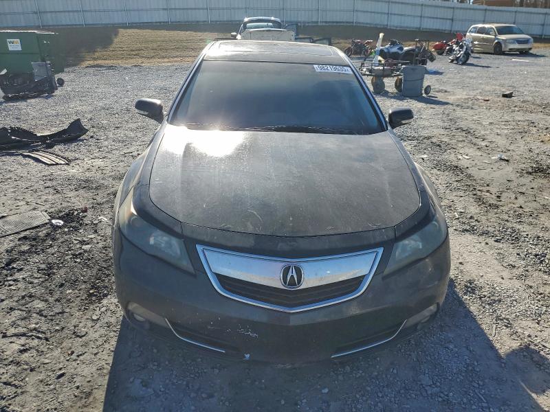 98219635 :رقم المزاد ، 19UUA8F21DA011483 vin ، 2013 Acura Tl مزاد بيع