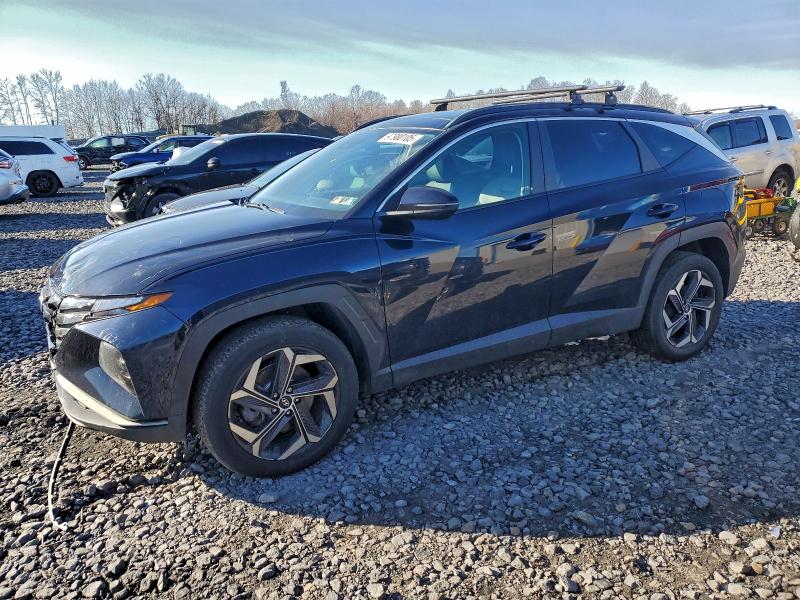 Auction sale of the 2023 Hyundai Tucson, vin: KM8JFCA15PU087582, lot number: 97980105