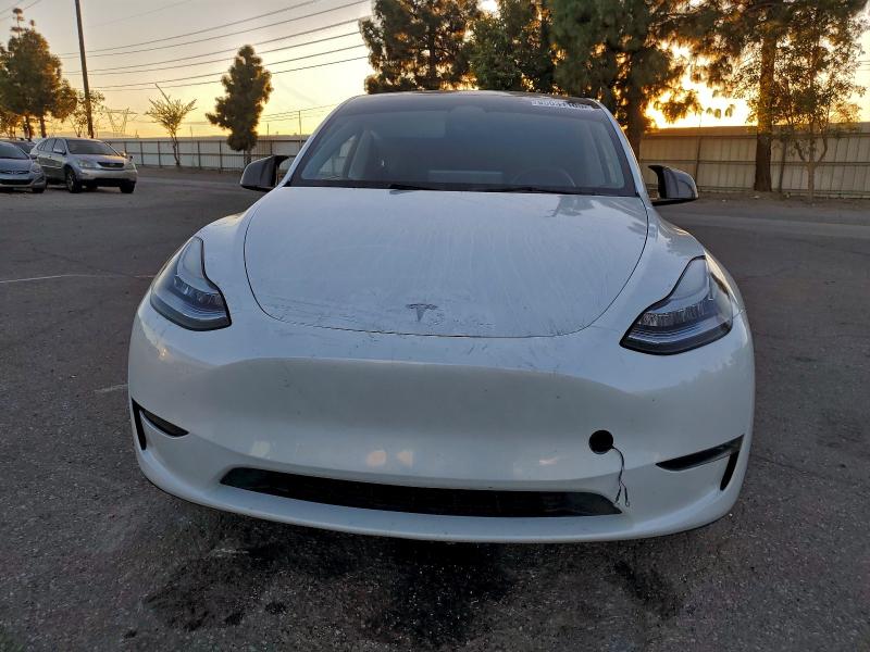Auction sale of the 2023 Tesla Model Y, vin: 7SAYGDEE0PA052489, lot number: 95031105