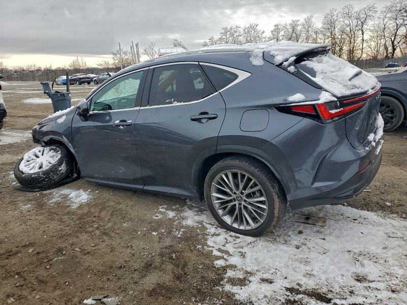 2024 Lexus Nx მანქანა იყიდება აუქციონზე, vin: 2T2HGCEZ6RC047359, აუქციონის ნომერი: 96939225