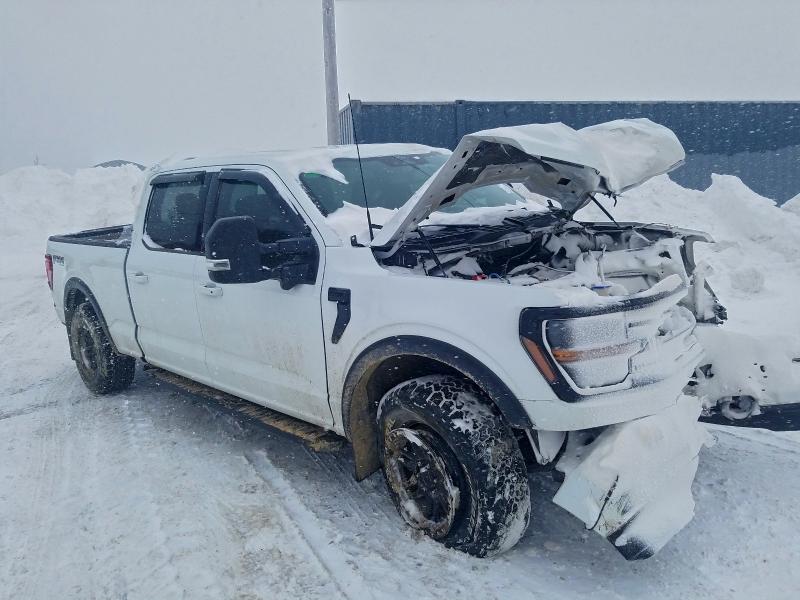 Aukcja sprzedaży 2024 Ford F150, vin: 1FTFW3L51RFA93526, numer aukcji: 96498885