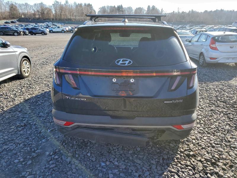 Aukcja sprzedaży 2023 Hyundai Tucson, vin: KM8JFCA15PU087582, numer aukcji: 97980105