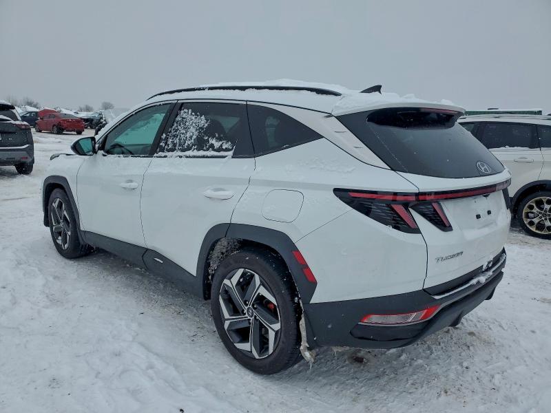 95317275 :رقم المزاد ، 5NMJF3AE6NH146487 vin ، 2022 Hyundai Tucson مزاد بيع