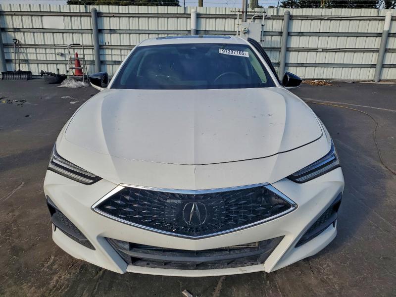 Продажа на аукционе авто 2023 Acura Tlx, vin: 19UUB5F32PA004745, номер лота: 97397165